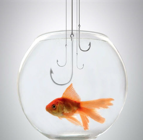 Goldfish in a bowl with four hooks